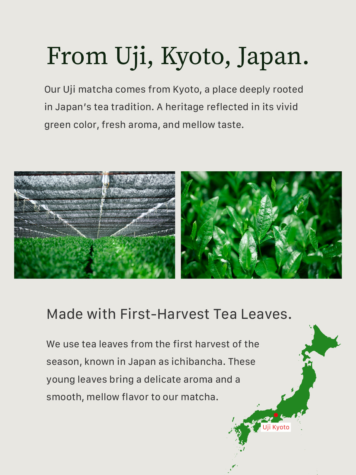 宇治の白